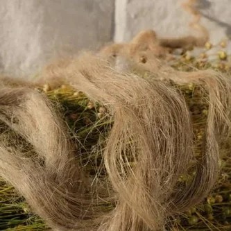 Colonial Flax to Linen Demonstration