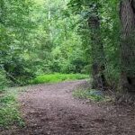 Moran Trail