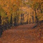 Perkiomen Trail