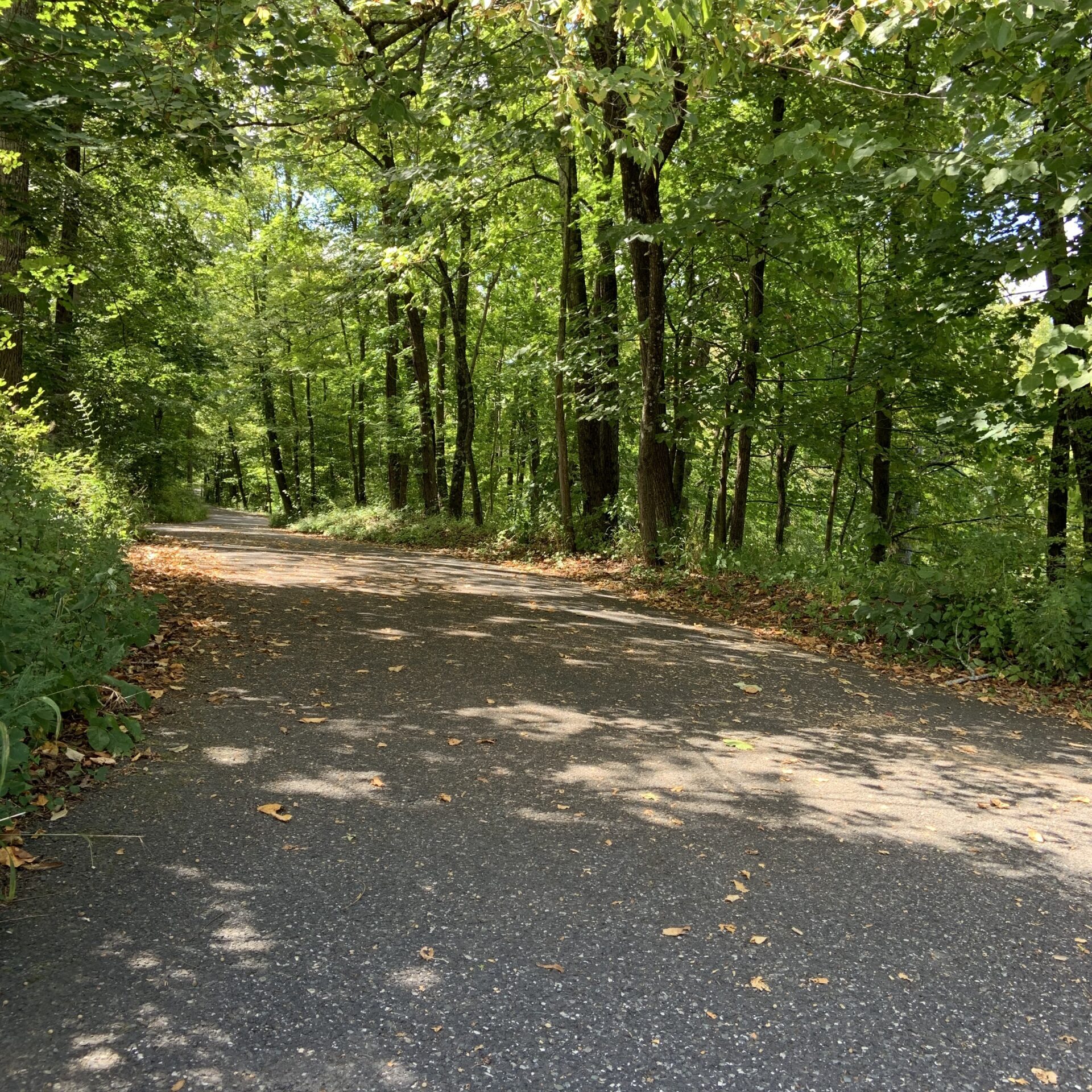 Perkiomen Trail